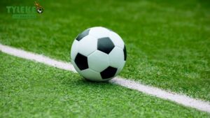 Cá độ bóng đá là gì?