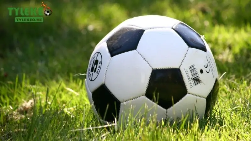 Kèo ½ lựa là sao? Cách soi kèo cược chuẩn xác nhất 2 Cách soi kèo chuẩn xác