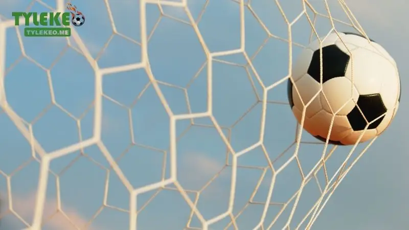 Hiểu về đặt cược tài xỉu 2 ¼