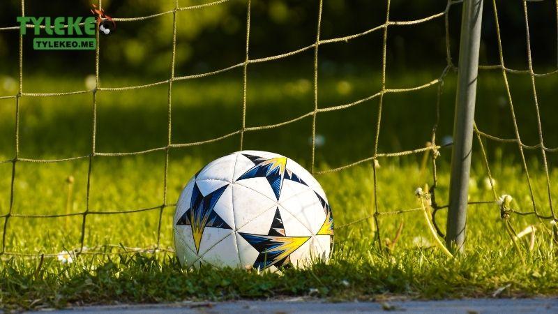 Hướng dẫn cá độ bóng đá cho từng kèo cược