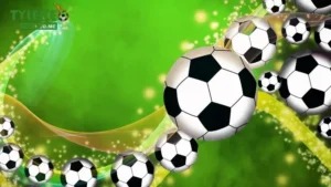 Tài xỉu 2 ½ là sao