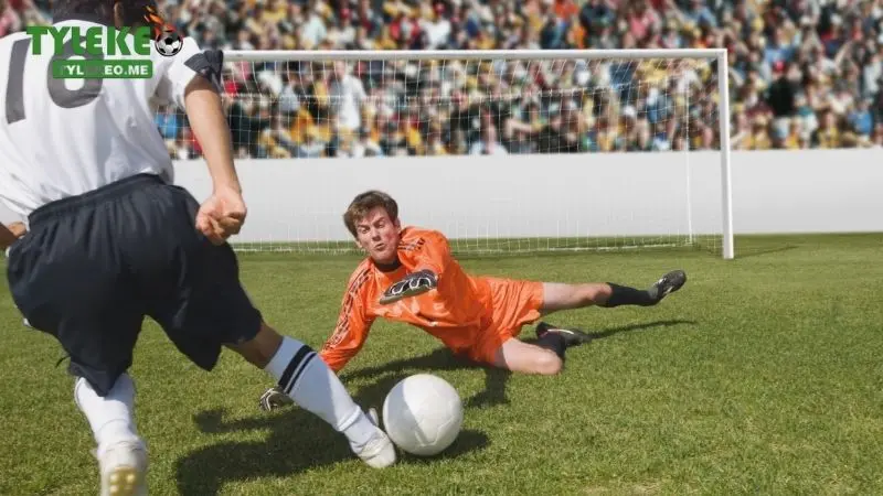 Tham gia cá độ bóng đá ở đâu?