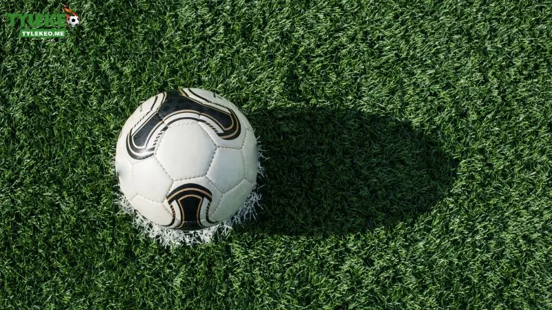 Trang Chủ 19 Những thông tin tổng quan về ty le keo